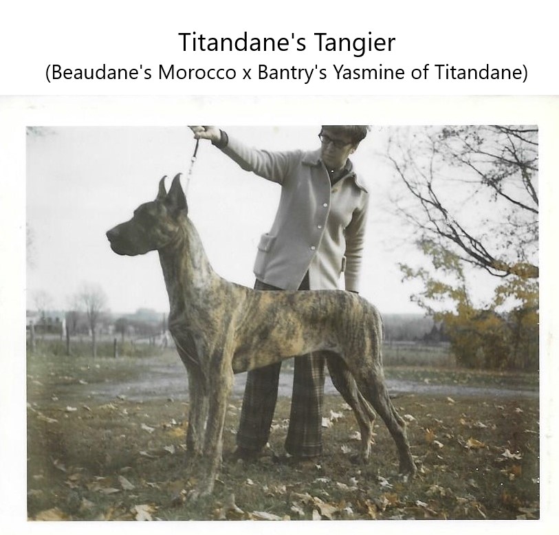 Titandanes Tangier